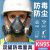 安爽利（ASL）防毒口罩防尘面具KN95全面罩带防雾护目镜 口罩+2个滤毒盒+26片棉