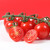 枝纯 温室串采糖果番茄 小西红柿 供港品质（GAP认证）新鲜水果蔬菜圣女果 198g/盒 沙拉食材 休闲零食