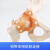 科睿才人体髋关节模型 股骨关节 人体骨骼模型股骨头 髋骨关节韧带教学 人体髋关节模型 77659 
