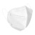 飞尔（FLYER） 一次性防护口罩 白色 5个装【10.5x15.5cm】