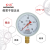 红旗牌仪表Y-100径向普通压力表气压表水压表真空负压表精度1.6级 -0.1~0.15MPa