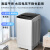 创维（SKYWORTH）10公斤大容量全自动波轮洗衣机  家用租房  一键脱水节能省电T100F