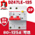 DZ47LE-125漏电断路器单相两极大功率保护开关D型 2P 100A