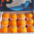 舅甜果蔬澳洲新奇士橙子3107脐橙 【SF锁鲜】黑标sunkist进口时令甜橙礼盒 12个（单果210-240g） 臻选精品礼盒装【送礼佳品】