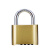雨素 挂锁 小锁 黄铜底部密码锁 长梁 防盗锁 门锁柜子锁 52mm