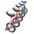 2023年新款儿童成人独轮车铝合金圈自行车杂技单轮脚踏车 12寸黑色(适合身高1-1.2米)