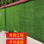 工地围挡草坪绿布仿真草坪人造假草坪网市政工程施工绿色草皮围墙 春草2.0cm加密背胶（2*25米）
