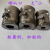北京电渣压力焊钢筋竖焊对焊配件喇叭口药盒药罐子对开加厚 7*8双底焊1228钢筋(32孔)