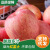 烟台苹果（YANTAI APPLE）烟台苹果红富士水晶富士产地直发新鲜当季大果苹果礼盒装 带箱10斤（22-24个75-80mm