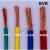 国标单芯多股软铜芯电线BVR 50 70 95 120 150平方工程软电线电缆京昂 BVR50平方红色(1米)