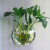 泰瑞格壁挂鱼缸 壁挂花瓶花盆花有机玻璃亚克力创意墙壁金鱼缸一件 直径15厘米透明