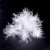 云中鸟散装精洗抗菌95白鹅绒羽绒服羽绒被原料填充(单件50克，可多拍) 国标散装精洗抗菌95白鹅绒 标价为1两（50克）的价格