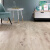 飞美地板 法国原装进口木地板AL539善德橡木 橡木色地板家用环保 善德橡木