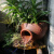 迦图鲮树脂陶罐单个斜口户外阳台田园风别墅中式创意流水造景装饰品摆件 浅棕色后接接水口