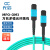 光信 MPO-MPO光纤跳线母头B极性兼容MTP万兆多模OM3光纤跳线40G/100G光模块集束光纤线 12芯-OM3-5米