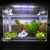 DRONTAL森森超白玻璃金鱼缸 客厅小型生态缸草缸鱼缸乌龟缸 办公室造景 长29.5cm热弯超白裸缸