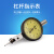 （上海）杠杆百分表小校表0-0.8mm杠杆指示表千分表精度0.001 杠杆百分表 0-0.8mm 精度0.01