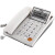 TCL 电话机 37型 座机办公 固定电话机 商务座机 免电池 TCL米白色