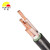 丰旭 电线电缆 YJV电力电缆 国标铜芯户外电缆 YJV 3*25+1*16（50米起售）1米