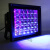 加达斯led紫外线UV模型3D打印树脂固化灯蓝晒曝光荧光紫绘画365nm405nm 10W395nm(蓝晒专用) 100-300W