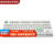 岑迷GM87电竞磁轴键盘RGB有线8K低/支持RT无畏契约瓦罗兰特键盘 GM87+原厂高度白熊猫键帽 佳达隆磁玉轴版本