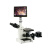 BM金相电子显微镜BM-4XFP