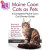 海外直订Maine Coon Cats as Pets: Maine Coon Cat Breeding, Where to Buy, Types, 缅因猫作为宠物：缅因州浣熊猫的饲养，在哪里购买，类
