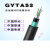 防鼠重铠装光缆GYTA53-12B1单模4/8/16/24/36/48/96芯直地埋光纤 GYTA53-72芯