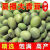 丰产大青豆种子丰产青皮四季播种早中晚熟农家青毛豆大豆种子 大青豆种子精选500克 (新种()出