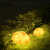 LED发光仿真石头灯夜景玻璃钢景观灯防水公园别墅灯 蓝宝石-接电款(250*300mm)