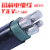 洛二缆 聚乙烯交联绝缘电力电缆 ZC-YJLV-0.6/1kV-4*25+1*16 黑色 1m