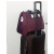 罗特艾蒂装衣服的行李包旅游包手提旅行包大容量防水可折叠行李包男 酒红色  中