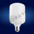 集客家 led灯泡e27螺口球泡灯10W20W大功率超亮工厂房照明柱形灯 10W(10个) 其它  白