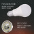 FSL佛山照明led灯泡微波感应灯泡雷达人体红外感应球泡 E27螺口  10W 白光6500K（单个装）