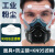 代尔塔（DELTAPLUS）防尘口罩防工业粉尘面罩呼吸全脸防护罩面具收割机打磨过滤棉装修 高效过滤防尘面具+防尘镜+60片