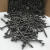 不锈钢螺丝/陶瓷瓦专用螺a丝/瓷瓦螺丝自攻螺丝钉麻花钢钉 黑色3.5*35 一公斤约555个