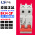 LS产电 小型断路器 BKN-2P 6A-63A D型 动力型 两相空气开关 10A 2P