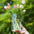 朵咔园艺玻璃花瓶摆件客厅插花玻璃瓶水培植物高级感观音竹专用雪柳马醉木 【玻璃花瓶】直径10高35cm