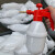 QJGJ0022 气压式喷水壶花园阳台浇花喷壶高压洒水壶塑料消毒喷壶 1.5L