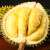 沃象泰国托曼尼榴莲 整个带壳 新鲜巴掌肉 小榴莲 鲜果当季采摘水果 6-7斤（1-2个装）