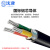沈津 ZR-VLV22-0.6/1KV-3*50mm² 国标铝芯铠装阻燃电力电缆 1米