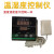 智能温湿度控制仪恒温恒湿控制温湿度报警器温湿度计大棚养殖 WSD80 (尺寸160*80)