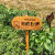 幼儿园菜园植物种植标示牌菜地农场草地爱护花草提示牌户外警示牌【12月12日发完】 A款绿色空白板 均码