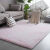定制长毛ins风地毯客厅卧室满铺可爱网红同款床边地毯地垫 纯色粉色 100里米*200里米