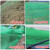 鹿色 抑尘网环保覆盖网盖土网 山体护坡 绿色3针8米宽30米长