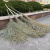 兰诗 YH604 环卫大扫把马路清扫竹扫把笤帚街道公园扫落叶除雪扫帚 木柄带叶5斤
