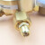 化科 实验室黄铜中大型减压器 手动减压阀 调节器  452F-40（4/0.4） 