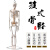 樵牧人  人体骨骼模型 骨架人体模型 成人小骷髅教学模型脊椎全身 85CM立式 带椎间盘神经 1副 