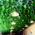谋福（CNMF）仿真葡萄叶花藤条 吊顶装饰缠绕绿植塑料葡萄花藤蔓(30片葡萄藤条12条装)