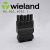 Wieland威琅 黑色GST18 插头 连接器 92.953.4053.1母头 50个